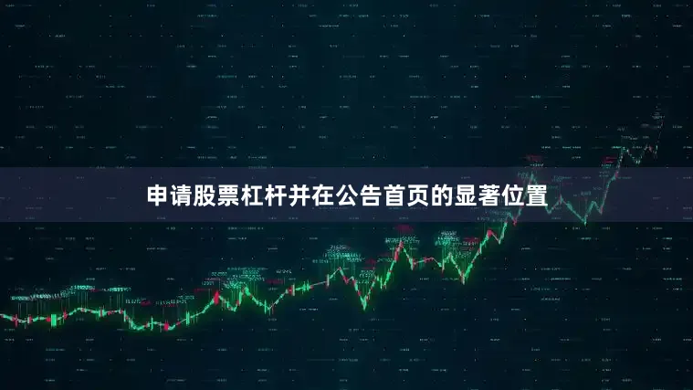 申请股票杠杆并在公告首页的显著位置