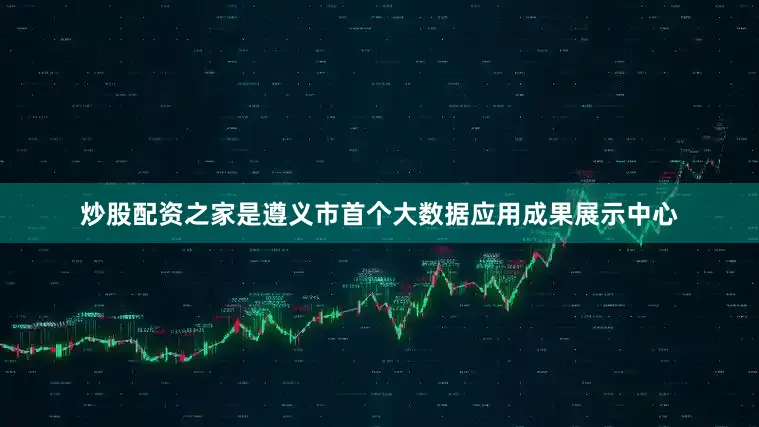 炒股配资之家是遵义市首个大数据应用成果展示中心