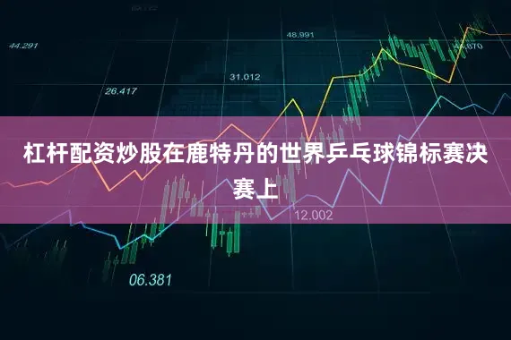 杠杆配资炒股在鹿特丹的世界乒乓球锦标赛决赛上