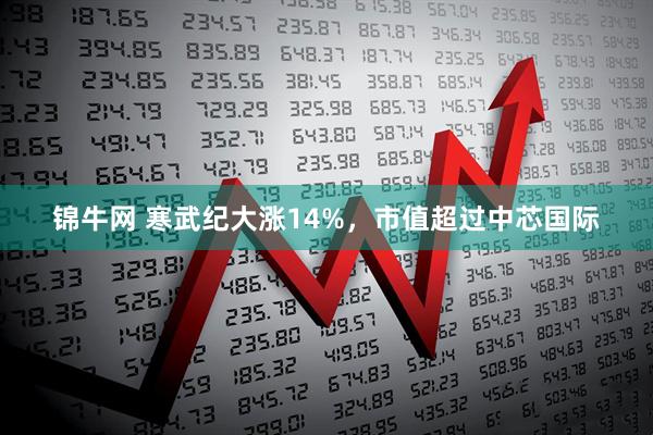 锦牛网 寒武纪大涨14%，市值超过中芯国际
