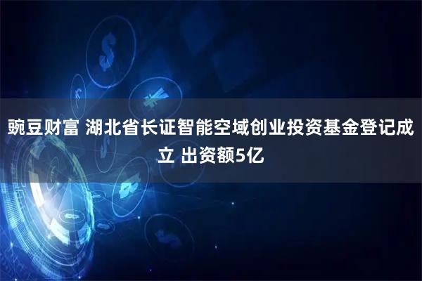 豌豆财富 湖北省长证智能空域创业投资基金登记成立 出资额5亿