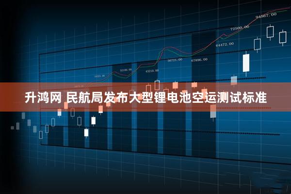 升鸿网 民航局发布大型锂电池空运测试标准