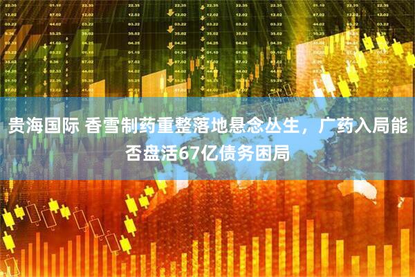 贵海国际 香雪制药重整落地悬念丛生，广药入局能否盘活67亿债务困局